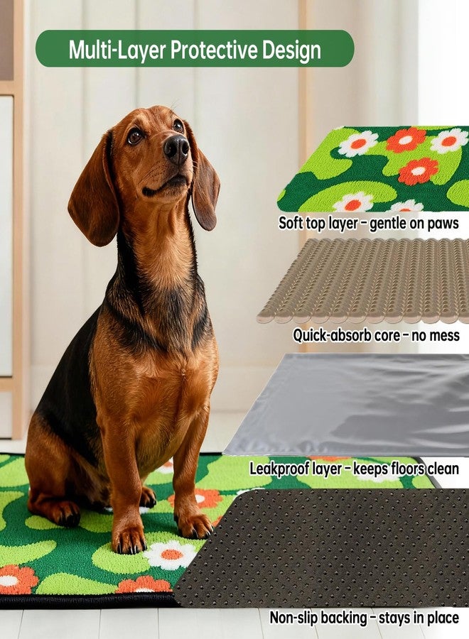 Qeils Reusable Puppy Pads for Small Dogs, Washable Pee Pads with Non-Slip , Absorbent Leakproof Mat for Crates, Playpens, Pet Beds & Whelping, Indoor Potty Training Grass Green, 31"x36", 2 Pack - Image 4